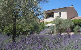 Le clos des lavandes-Luberon